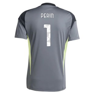 2025-2026 Juventus Home Goalkeeper Shirt (Grey) (Perin 1)