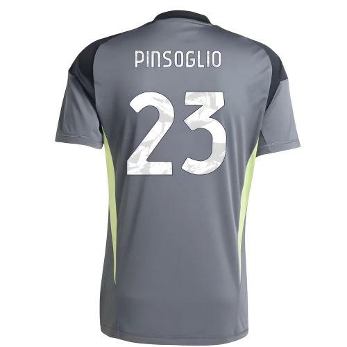 2025-2026 Juventus Home Goalkeeper Shirt (Grey) (Pinsoglio 23)  2025-2026 Juventus Home Goalkeeper Shirt (Grey) (Pinsoglio 23)