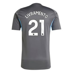 2025-2026 Newcastle Training Shirt (Grey) (Livramento 21)