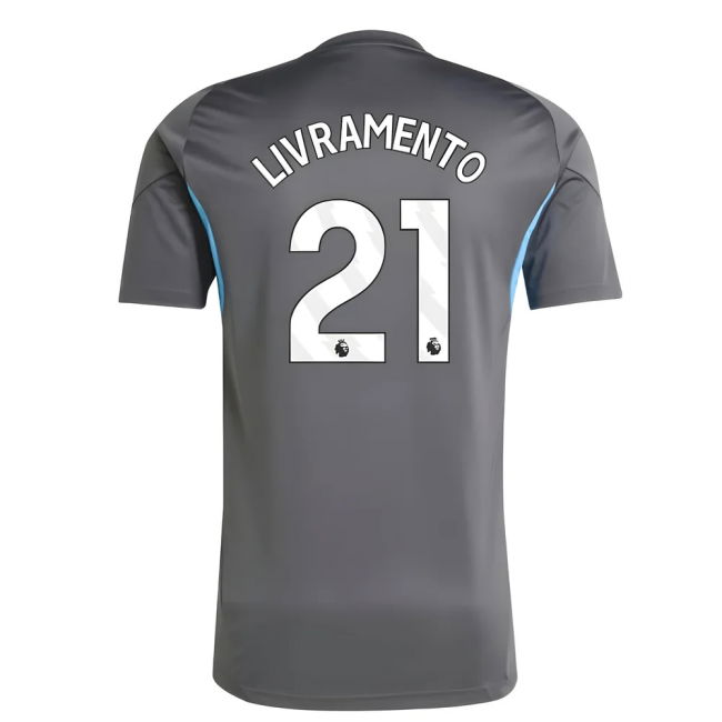 2025-2026 Newcastle Training Shirt (Grey) (Livramento 21)