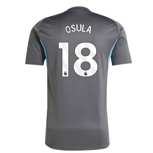 2025-2026 Newcastle Training Shirt (Grey) (Osula 18)