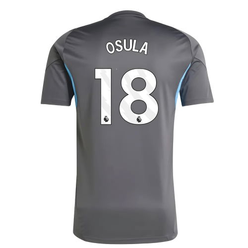 2025-2026 Newcastle Training Shirt (Grey) (Osula 18)