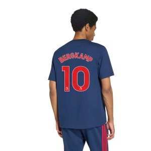 2026-2027 Arsenal DNA Graphic Tee (Navy) (Bergkamp 10)