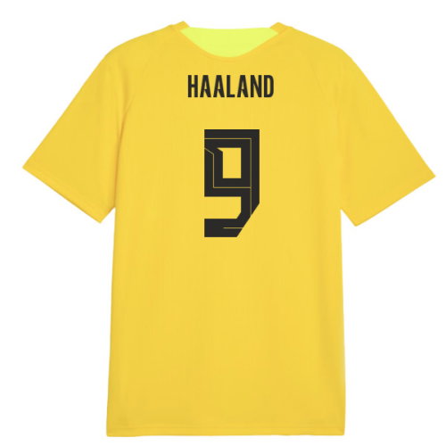 2026-2027 Borussia Dortmund Training Jersey (Yellow) (Haaland 9)