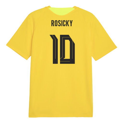 2026-2027 Borussia Dortmund Training Jersey (Yellow) (Rosicky 10)