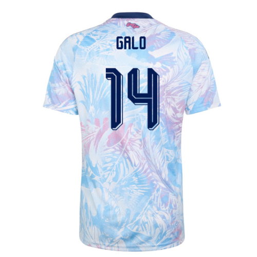 2026-2027 Costa Rica Away Shirt (Galo 14)
