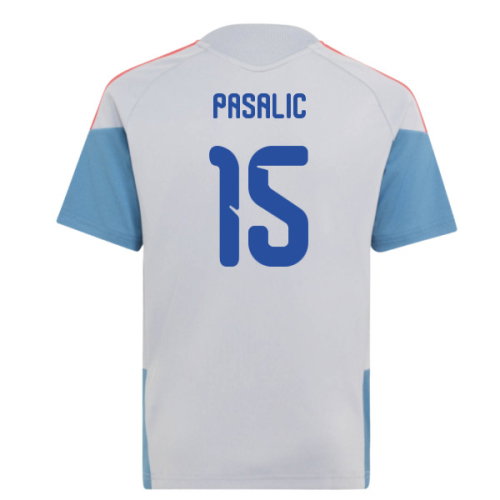 2026-2027 Croatia Training Jersey (Aurora Onix) - Kids (Pasalic 15)