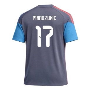 2026-2027 Croatia Training Tee (Aurora Onix) (Mandzukic 17)