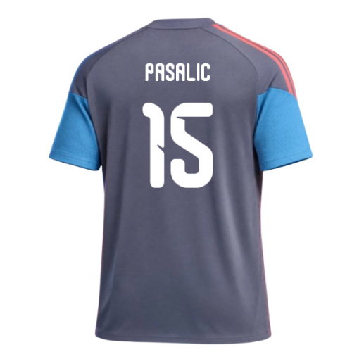 2026-2027 Croatia Training Tee (Aurora Onix) (Pasalic 15)