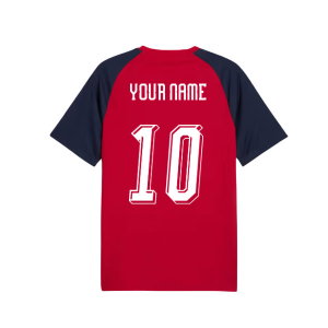 2026-2027 Czech Republic Warm Up Jersey (Dark Cherry) (Your Name)