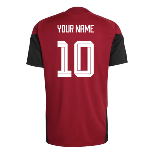2026-2027 Germany Training Jersey (Red) (Your Name)