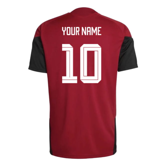 2026-2027 Germany Training Jersey (Red) (Your Name)