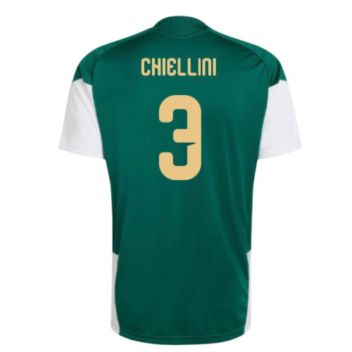 2026-2027 Italy Training Jersey (Green) (Chiellini 3)