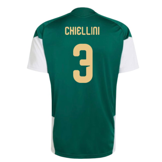 2026-2027 Italy Training Jersey (Green) (Chiellini 3)