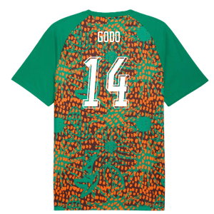 2026-2027 Ivory Coast Warm Up Jersey (Sport Green) (Godo 14)