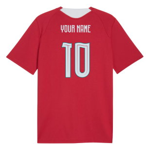 2026-2027 Portugal Training Jersey (Red)
