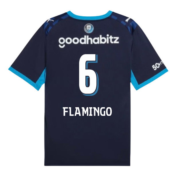 2026-2027 PSV Eindhoven Third Shirt (Flamingo 6)