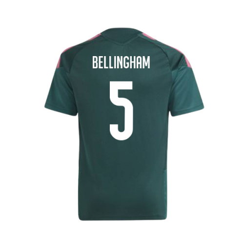 2026-2027 Real Madrid Training Jersey (Aurora Ivy) - Kids (Bellingham 5)