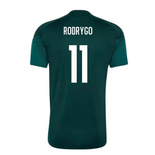 2026-2027 Real Madrid Training Jersey (Aurora Ivy) (Rodrygo 11)