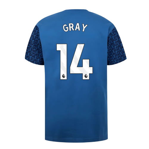 Tottenham Hotspur Graphic T-shirt (Blue) (Gray 14)