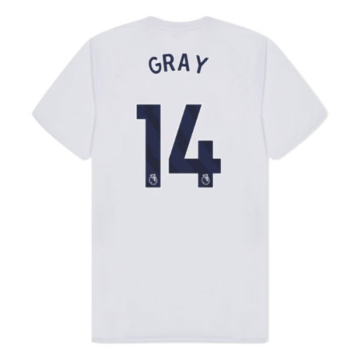Tottenham Hotspur Poly T-shirt (White) (Gray 14)