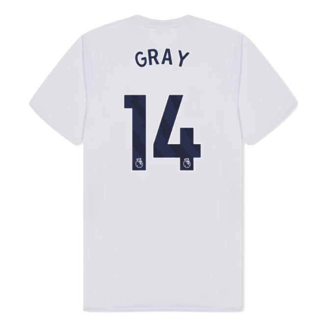 Tottenham Hotspur Poly T-shirt (White) (Gray 14)
