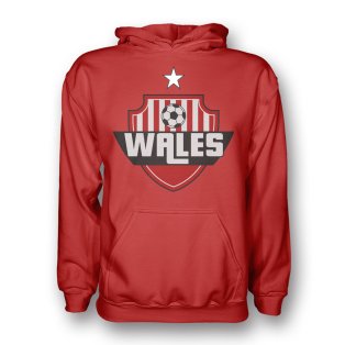 Wales Country Logo Hoody (red) - Kids