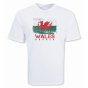 Wales Soccer T-shirt