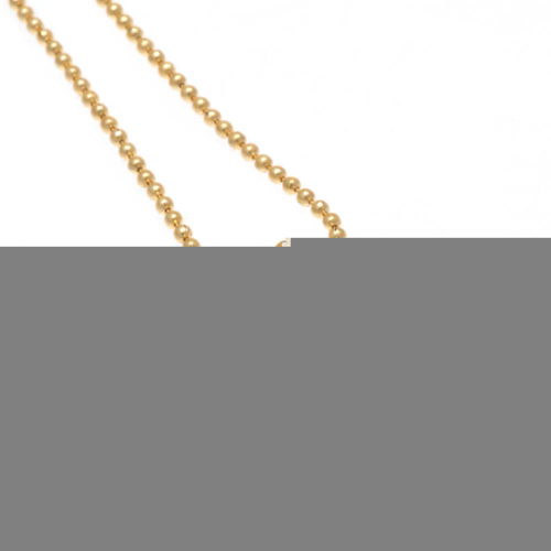 Leicester City FC Gold Plated Dog Tag & Chain