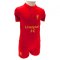 Liverpool FC Shirt & Short Set 12/18 mths GD