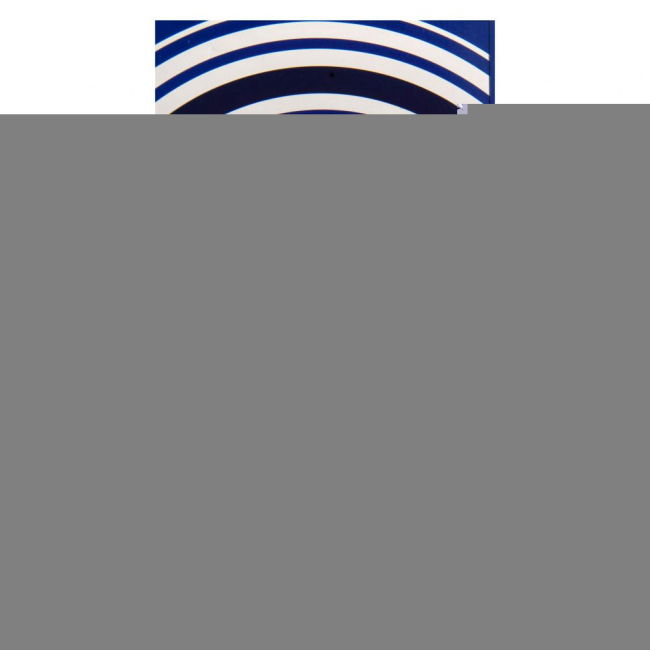 Chelsea FC Pulse Towel