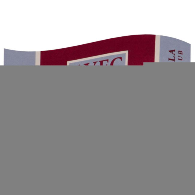 Aston Villa FC Wordmark Flag