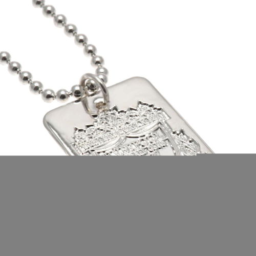 Liverpool FC Silver Plated Dog Tag & Chain