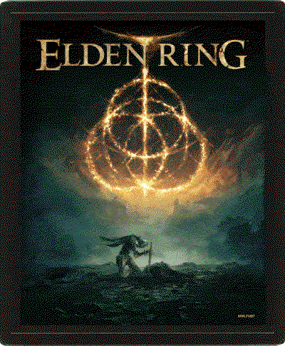 Elden Ring Framed 3D Picture