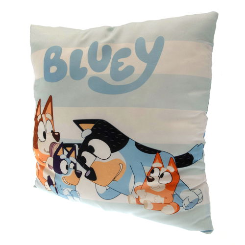 Bluey Cushion