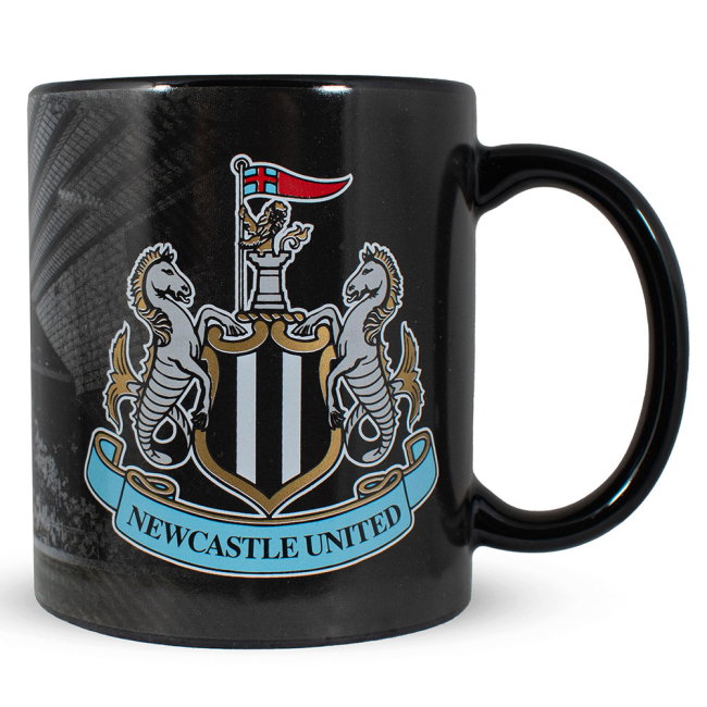 Newcastle United FC Stadium Mug