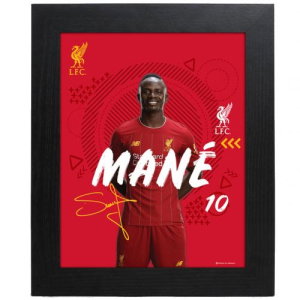 Liverpool FC Picture Mane 10 x 8