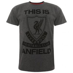 Liverpool FC TIA T Shirt Mens Charcoal S