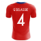 2023-2024 Czech Republic Home Concept Football Shirt (G SELASSIE 4)