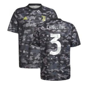 2021-2022 Juventus Pre-Match Training Shirt (Grey) (CHIELLINI 3)