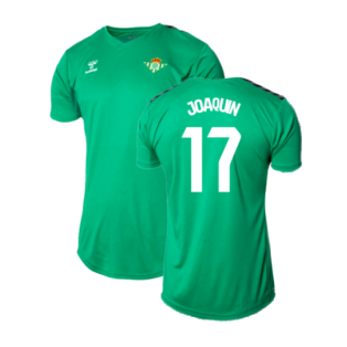 2023-2024 Real Betis Training Shirt (Green) (JOAQUIN 17)
