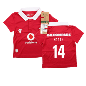2023-2024 Wales Rugby Home Baby Shirt (North 14)