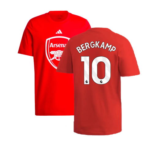 2024-2025 Arsenal DNA Graphic Tee (Red) (Bergkamp 10)