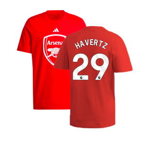 2024-2025 Arsenal DNA Graphic Tee (Red) (Havertz 29)