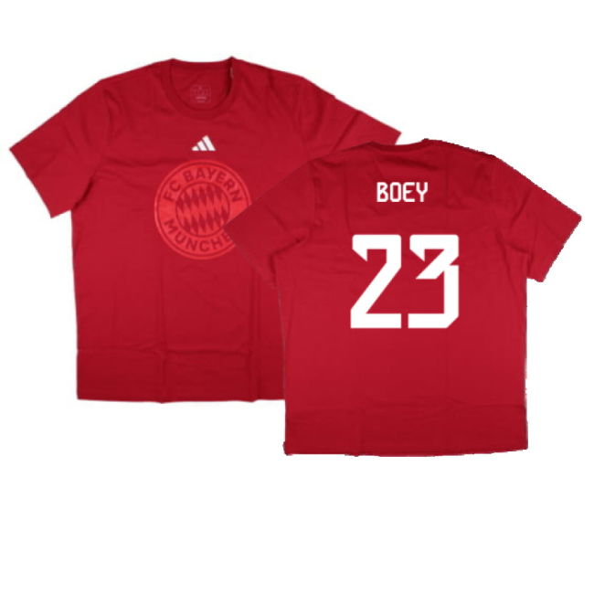 2024-2025 Bayern Munich DNA Graphic Tee (Red) (Boey 23)