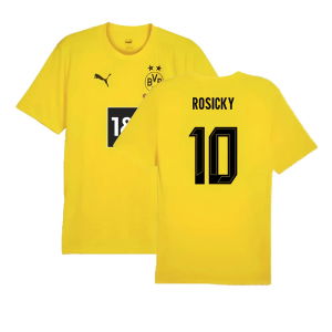 2024-2025 Borussia Dortmund Training Shirt (Yellow) (Rosicky 10)