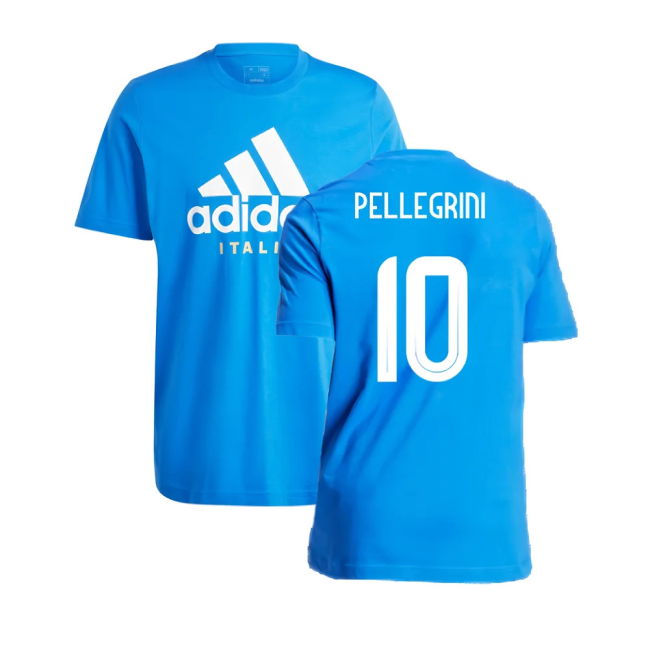 2024-2025 Italy DNA Graphic Tee (Blue) (PELLEGRINI 10)