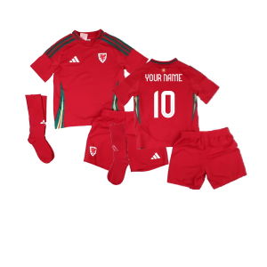2024-2025 Wales Home Mini Kit
