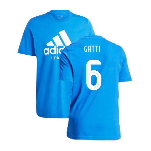 2024-2025 Italy DNA Graphic Tee (Blue) (GATTI 6)