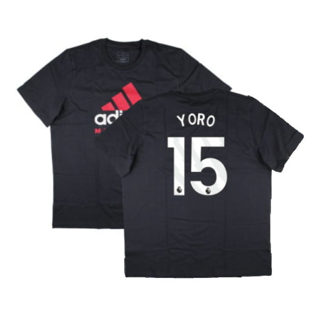 2024-2025 Man Utd Seasonal Graphic Tee (Night Grey) (Yoro 15)